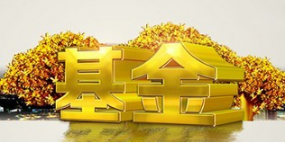 <b>多只基金單日凈值大漲 因遭大額贖回 </b>