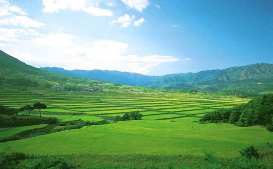 市場仍維持震蕩態勢 農業板塊迎三大利好 