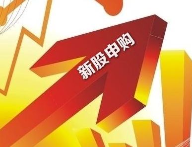 <b>9月11日新股申購一覽表</b>