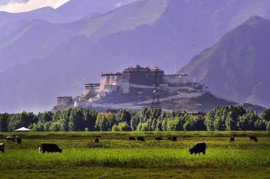 共建健康美麗中國夢，這些上市公司不可少！