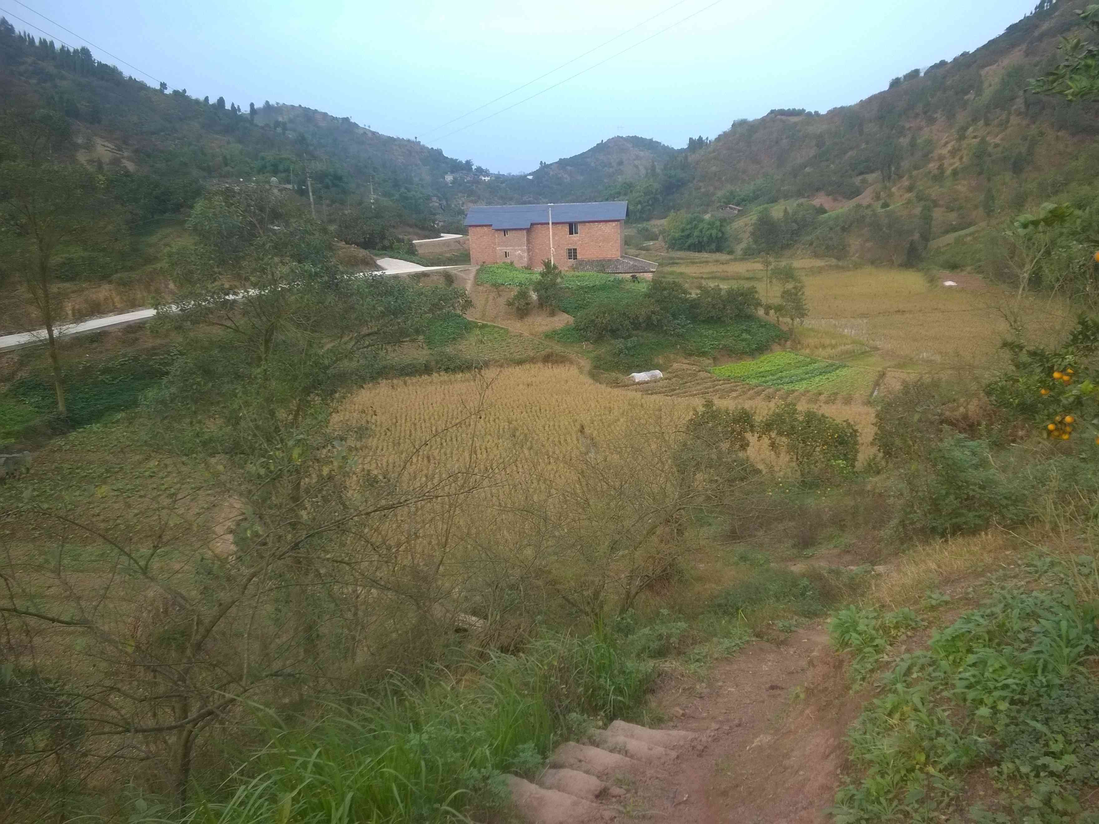 宅基地將“三權(quán)分置” 政府將不再壟斷！