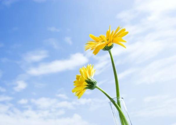 財經(jīng)理財：教師是如何理財?shù)模?/></div>
						</a>
					<div   id="gamwgocgk"   class="news-txt" >
								<h4><a href="/html/jijin/licai/20180119/122366.html" title="財經(jīng)理財：教師是如何理財?shù)模? target="_blank">財經(jīng)理財：教師是如何理財?shù)模?/a></h4>
						<p>財經(jīng)365訊， 財經(jīng)理財 ：教師是如何理財?shù)模?教師收入提高但工作最繁忙家庭消費壓力最大，適合采用主動進攻和保障增值的防守型組合的方式。 理財目標主要是針對教育儲備金和購房</p>
								<div   id="gamwgocgk"   class="label_tag">
									<a target=