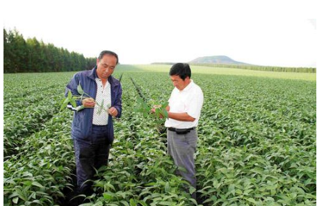股票|官方緊急要求增產大豆，種業龍頭將受益