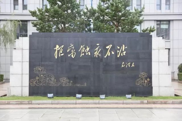 龍建股份股票怎么樣？揭秘主力動向