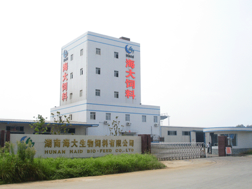 海大集團股票怎么樣 小散怎么操作