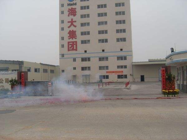 海大集團股票行情個股研究