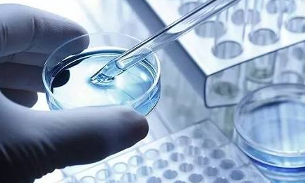 股票|康泰生物：公司新產品豐富 上市后對業績影