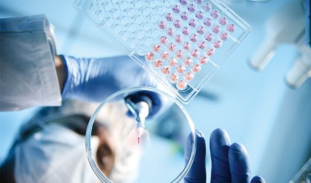 股票|冠昊生物子公司擬籌劃引入戰投 并擬籌劃在