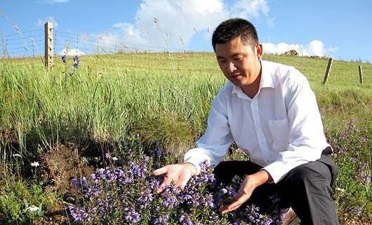<b>應(yīng)收賬款做市值？蒙草生態(tài)撐至解禁大減持！</b>