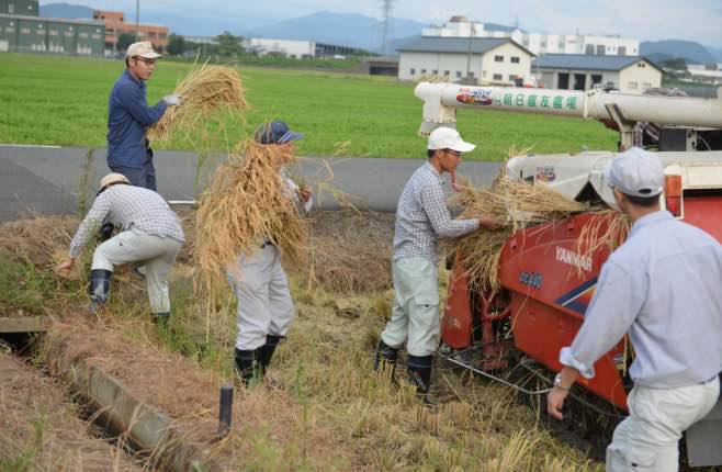 走進華西村：女不外嫁，富三代開豪車去村企上班