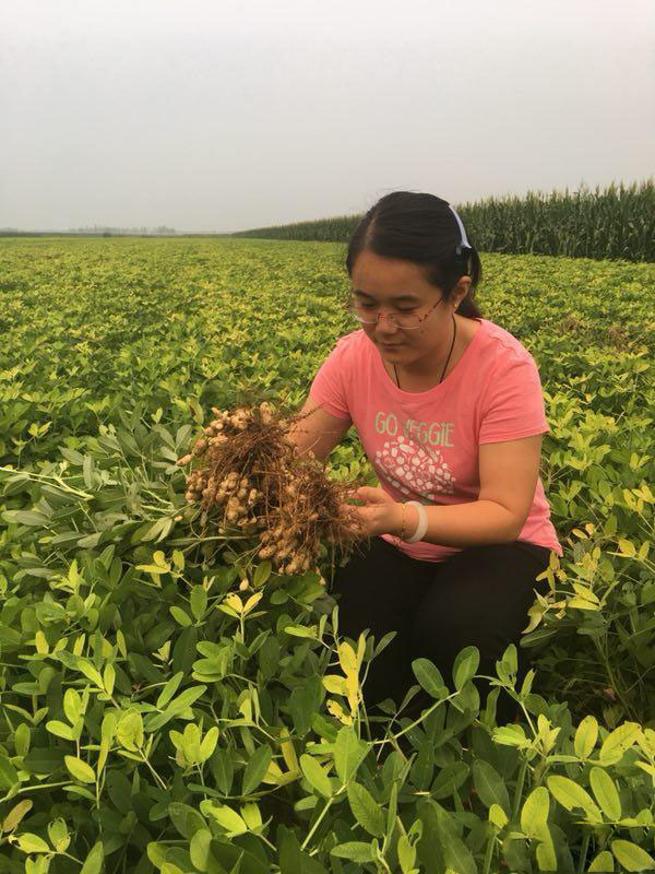 大學生創業：返鄉創業種起黑花生 帶動3600農戶脫