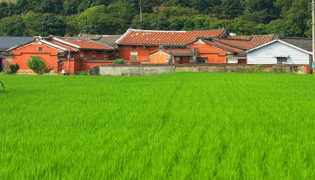 農(nóng)村創(chuàng)業(yè)：特色農(nóng)業(yè)補貼即將下發(fā)！最高補貼達900萬！