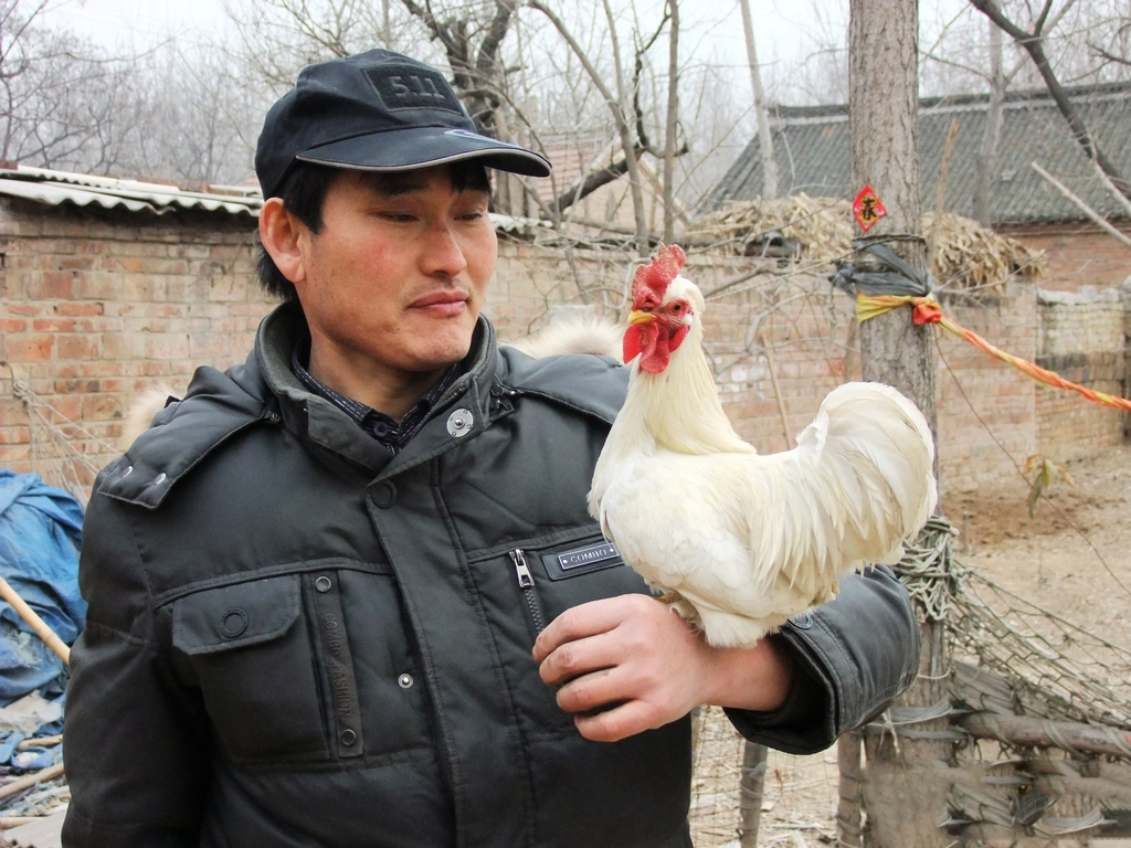 大衣哥朱之文年入上千萬，子女教育很有一套