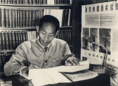 袁隆平倆小目標：超級稻+化灘涂為良田！