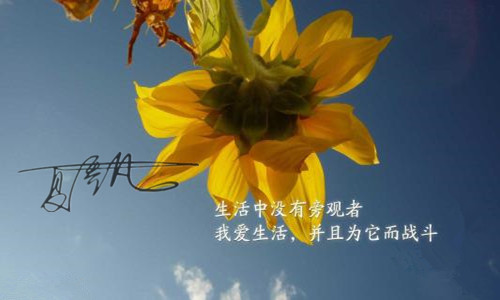 夏喬凡：10.25黃金走勢強勁多頭不改，日內(nèi)黃金操作建議策略