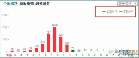 收官戰(zhàn)多頭奮力宣泄 喜迎金豬過(guò)大年！