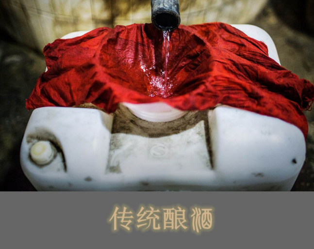 洋河股份業績研究 說點不一樣的！