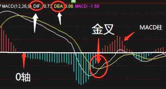 macd指標（股票經典術語最強解析）