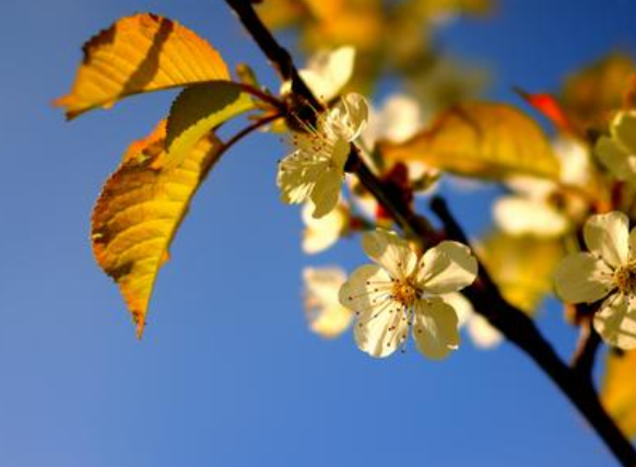 上市公司魯商置業(yè)：狠抓整改落實(shí)，營(yíng)造濃厚學(xué)習(xí)氛圍！