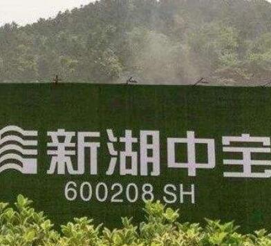 新湖中寶股票