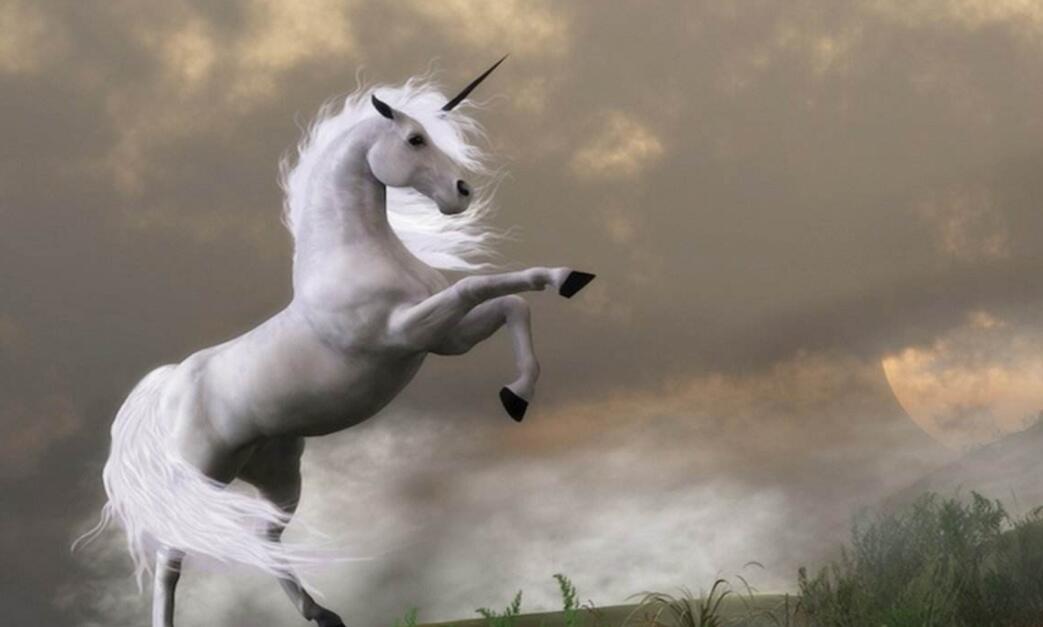 財經365視界-病毒追來時“獨角獸”先亡！
