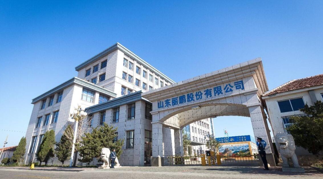 麗鵬股份股票-麗鵬股份(002374)股吧