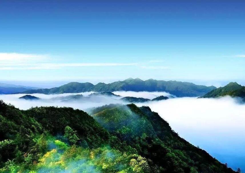 江西上市公司名單2020-江西上市公司