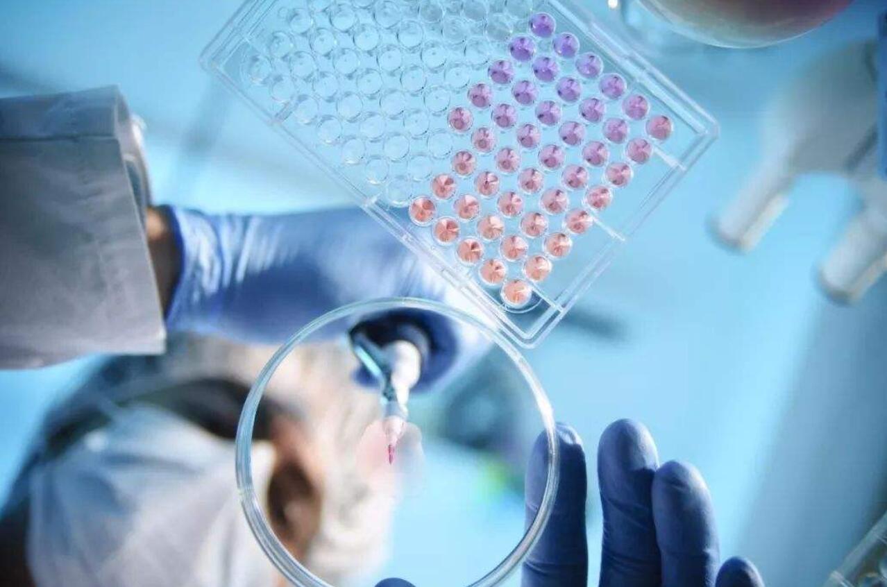 生物疫苗概念龍頭股-生物疫苗概念