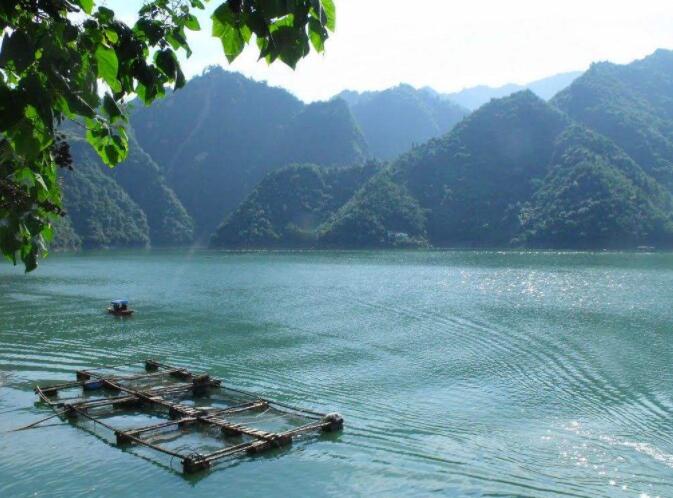 asi指標詳解及實戰(zhàn)用法-asi指標炒股
