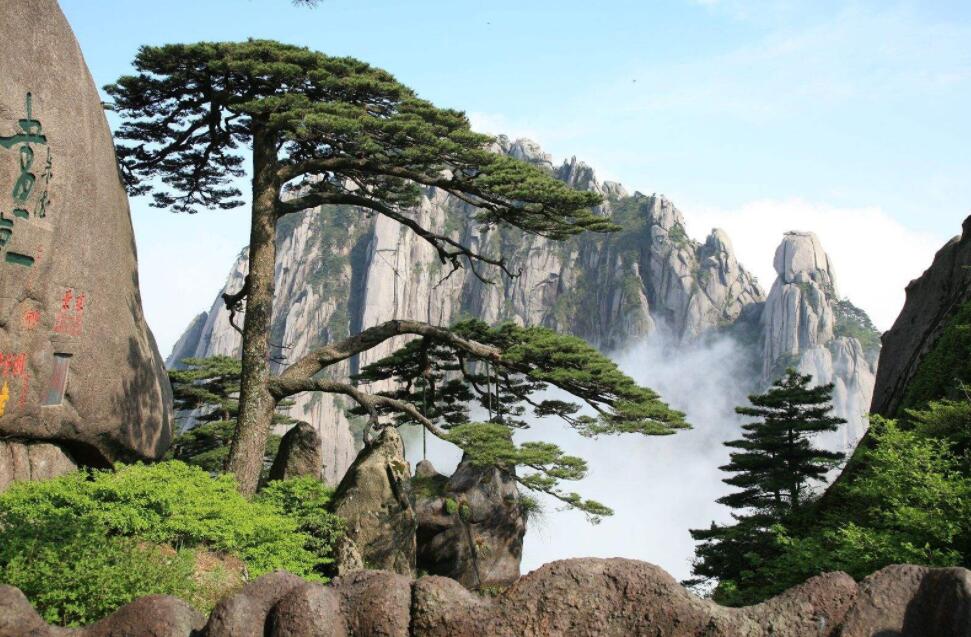 2020黃山上市公司有哪些-黃山上市公司名單