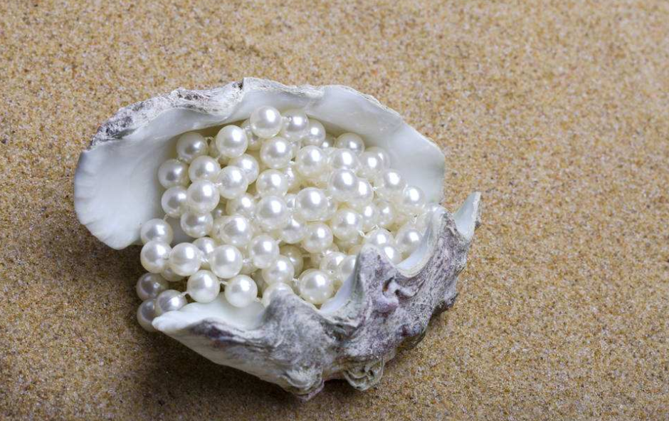 獐子島抵押扇貝獲9000萬融資 獐子島