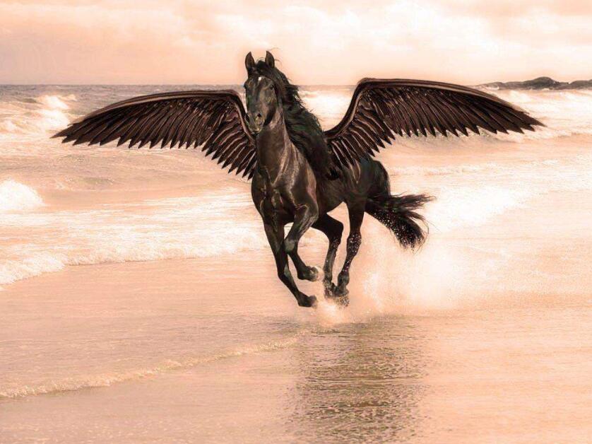 美聯儲“新年首秀”風險 美股大瀉！