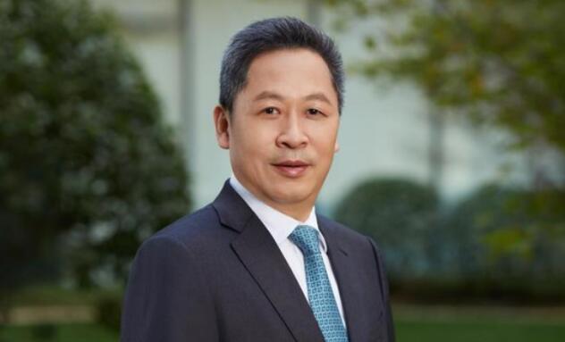 盈利大增的京東方，股價為何持續低迷？