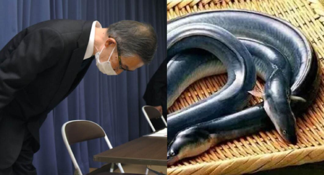 日本批發(fā)商將中國鰻魚偽造成日本