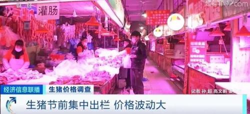 生豬節前集中出欄 價格波動大 生豬節前集中出欄 價格波動大