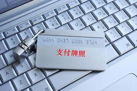 第三方支付進(jìn)入存量洗牌期。