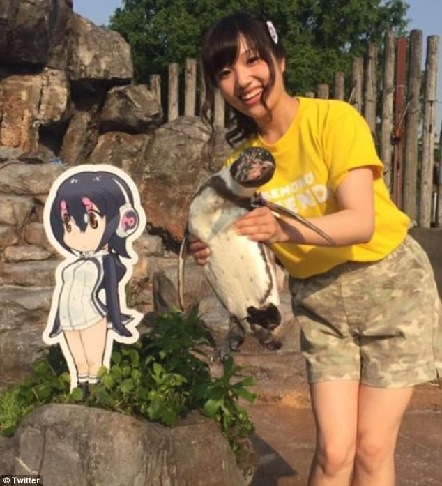 奇聞！企鵝愛上動漫女孩 將人形牌當成了失戀后寄托