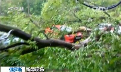 當地居民 維克托：這一切前前后后也就十分鐘，刮大風，一棵杉樹被刮倒了，又帶倒了另一棵樹，這兩棵樹又壓到了三輛車上，好在車沒什么太大的問題，這場暴風雨突如其來，就十分鐘。