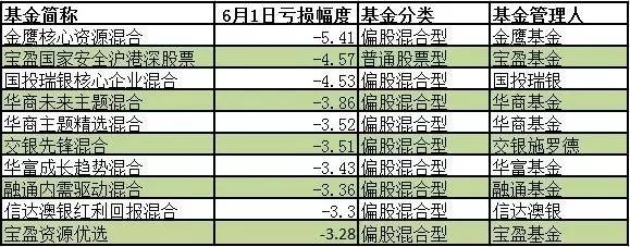6月1日偏股型基金虧損金額前十名