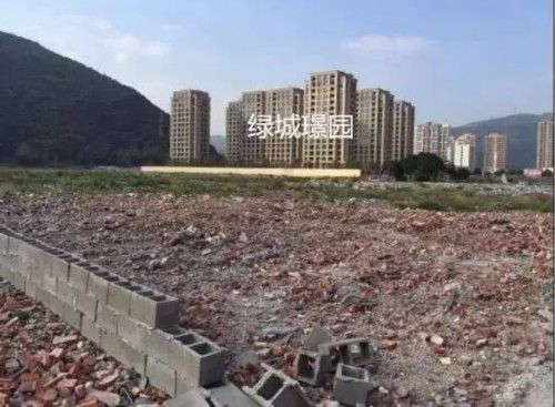 溫州這個村拆遷改造，平均每戶能分到1000萬 