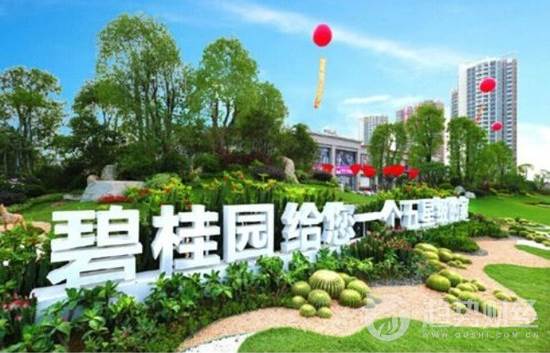碧桂園 碧桂園