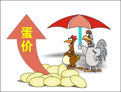 期市交易比現貨市場更為理性，穩定雞蛋價格預期需要指路標