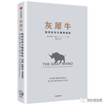 比黑天鵝更可怕 人民日報提到的“灰犀牛”究竟是啥