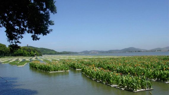 新三板最新消息 水體修復公司太湖湖泊“為美化太湖而生” 登陸新三板能否異軍突起？