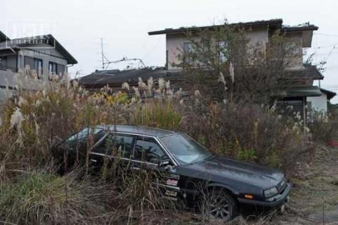日本：460輛核污染私家車被流入市場