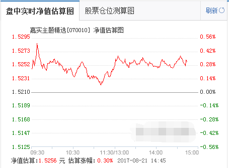 嘉實(shí)主題基金