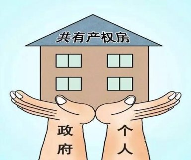 “共有產權房”成大熱,?“無紙化辦稅”66噠