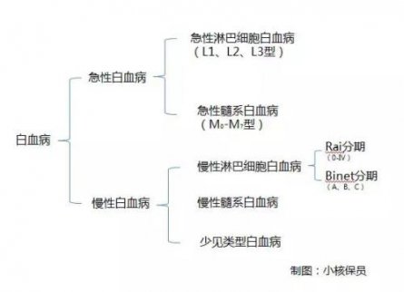 白血病屬于重大疾病保險范圍嗎？