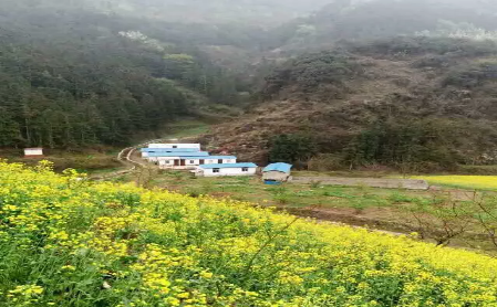 創業資訊：埋頭大山養蜂，收益一年頂打工十幾年
