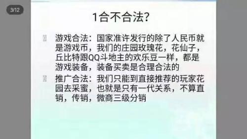 40萬人血本無歸 造富大夢(mèng)被炸醒！魔幻農(nóng)莊崩盤